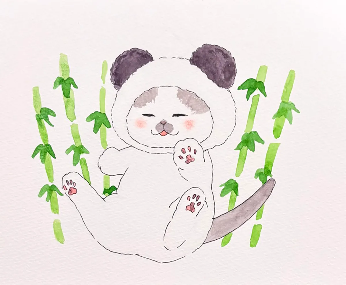 Drawings